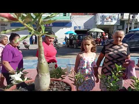 Mostrando a Praça de custódia