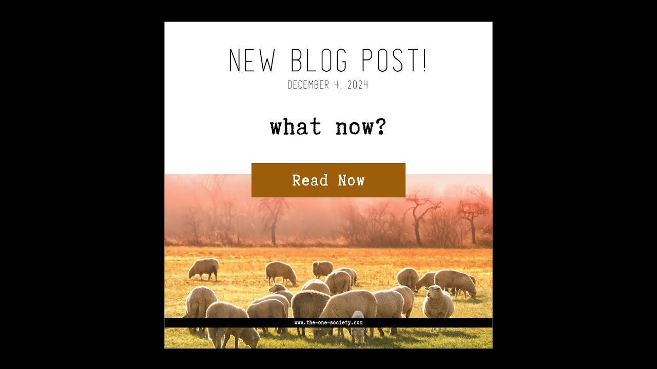 What Now? video thumbnail