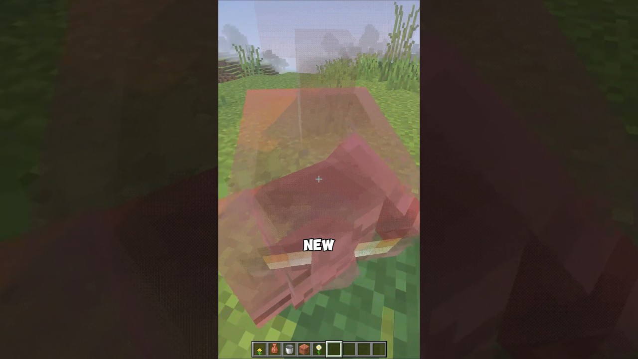 You Can See Through Every Mob Now #minecraft