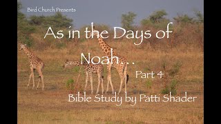 Pt. 4 "As in the Days of Noah..."