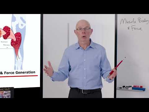 Biomechanics of Movement | Lecture 4.1: Converting Food into Movement: Muscle Structure & Force