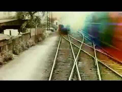 Alina Labour - We Are