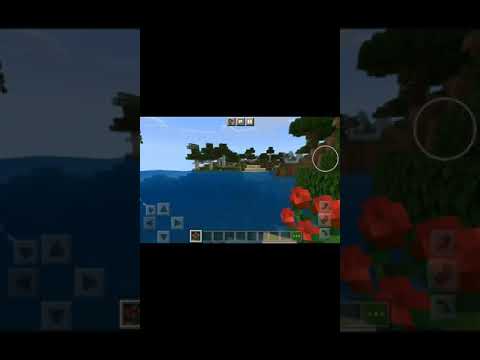 Project_72 - Minecraft terrain generation in a nutshell One block rose bush