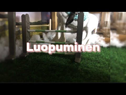 Luopuminen [LYHYTELOKUVA]