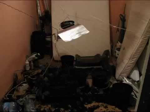 CBŚ rozbiło sanocką grupę przestępczą