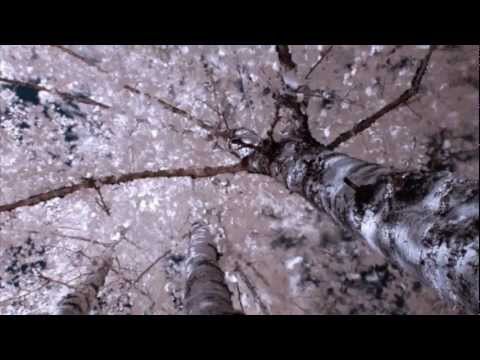 Secret Garden - Searching for the Past