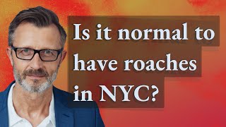 Is it normal to have roaches in NYC?