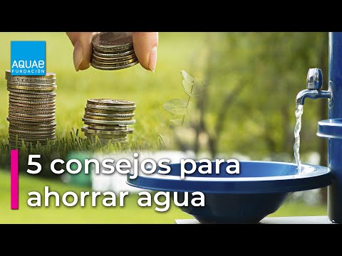 Aprendamos de Monterrey y cuidemos el agua en Hidalgo con estos 12 consejos | La Silla Rota