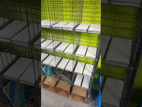 https://youtube.com/shorts/CssIFZmygMc?si=CKP0lRZE74zksdl0