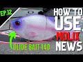 Molix Glide Bait 140 Swimbait 14cm - Dark Gill Orange Belly