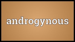 Androgynous Meaning