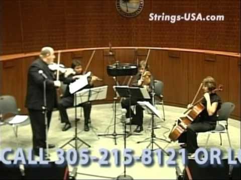 Promotional video thumbnail 2 for Deynova string quartet