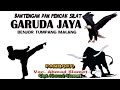 ATRAKSI BANTENGAN DAN PENCAK SILAT GARUDA JAYA