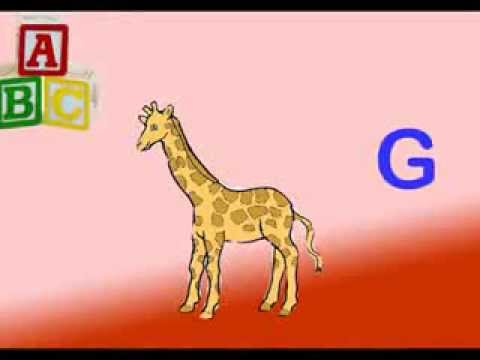 Cantece pentru copii | Cantecul Alfabetului | Animalele | Kidsongs