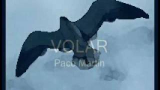 Paco Martin   Volar