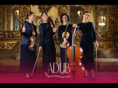 ADLIB STRINGS _ Canção Verdes Anos ( Carlos Paredes full song cover )