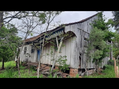 NEIGHBORS HEARD THE HARMONICA PLAYING FROM THE OTHER SIDE OF THE MOUNTAIN!!!😳