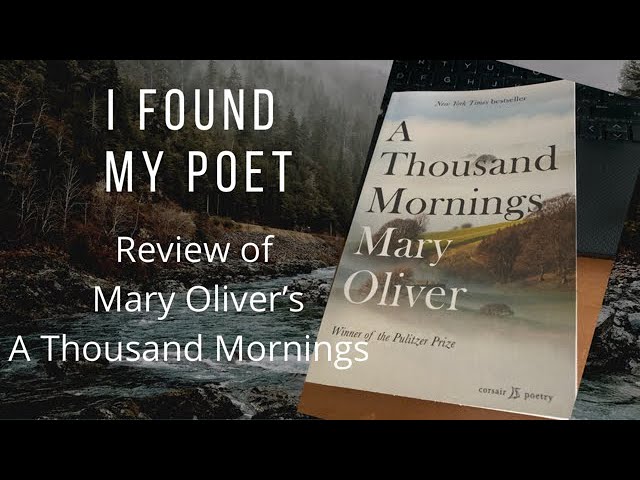 Vídeo relacionado con A Thousand Mornings: Mil Mañanas: 285 (Colección Valparaíso de Poesía)