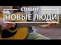 Как играть "Новые Люди" - Сплин (Разбор, Аккорды, Табы)