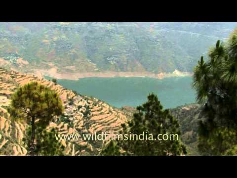 Terrace farming on the Hilayan slopes in Uttaranchal, India