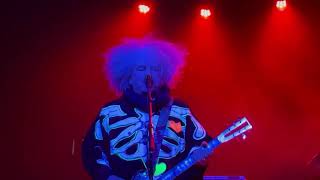 Melvins - Oven / Lovely Butterflies