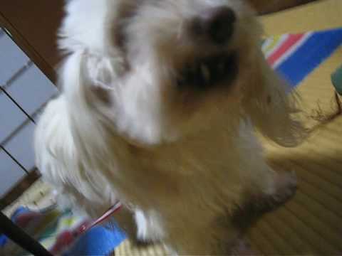 {$row[$i]['name'], ENT_QUOTES,'utf-8'); ?>