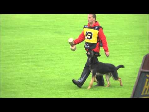 Czech Nationals  2014  Extreme Orex Aykmar  Obedience