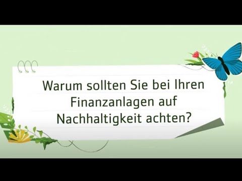 SSF Nachhaltige Anlagen erklärt