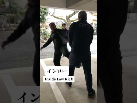 インロー#日本拳法空手道 #japan #japon #martialarts #kickboxing