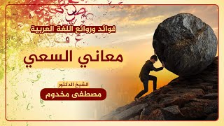 معاني السعي | فوائد وروائع اللغة العربية | الشيخ د. مصطفى مخدوم image