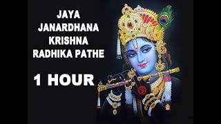 Jaya Janardhana Krishna Radhika Pathe  1 HOUR  Ant