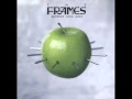 the frames - Another Love Song 