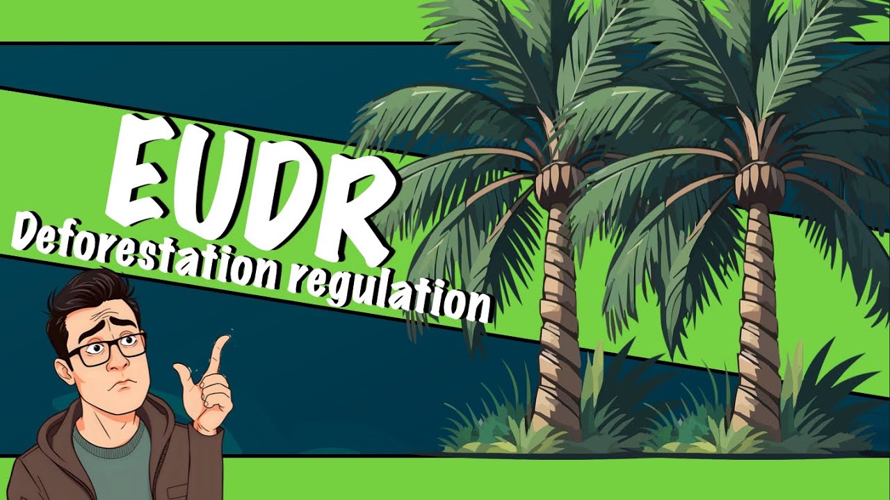 EU Deforestation Regulation (EUDR) Explained | EUDR Due Diligence | EUDR Compliance