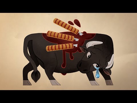 El Toro Olé - Miquel