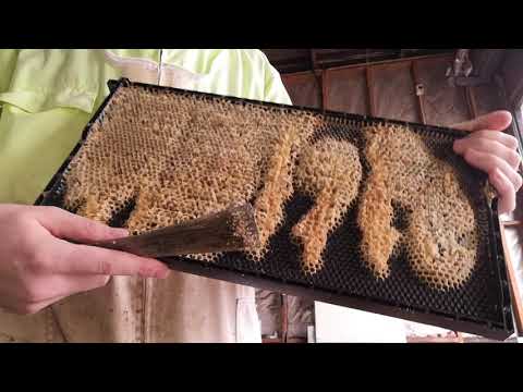 Ceruirea ramelor din plastic cu trafaletul