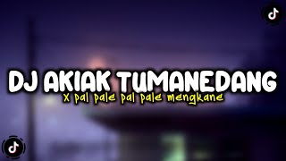Download lagu DJ AKIAK TUMANEDANG X PAL PALE PAL PALE VIRAL TIKTOK MENGKANE mp3