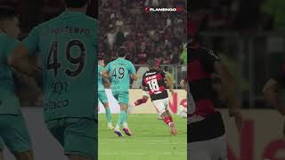 GOLS DE FLAMENGO 3X1 SANTOS NARRADOS POR JOÃO GUILHERME NA FLAMENGOTV! ❤️🖤 #flamengo #flamengotv