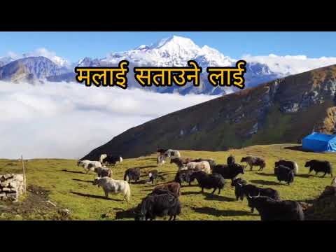 Mathi mathi Sailunge ma Chauri Dulaune lai Kunti moktan Lyrics Video