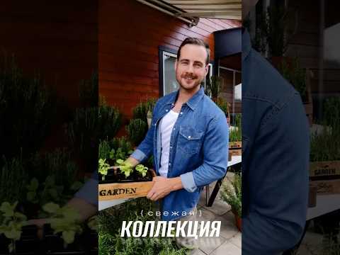 фото розмарин 0