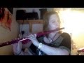 Ronan Hardiman- Lord of The Dance- Stolen ...