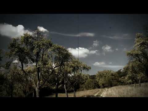 Duet Milosevic   Aleksic   U livadi pod jasenom