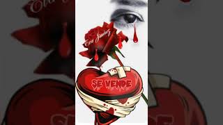 Se vende un corazón-Grupo Bronco