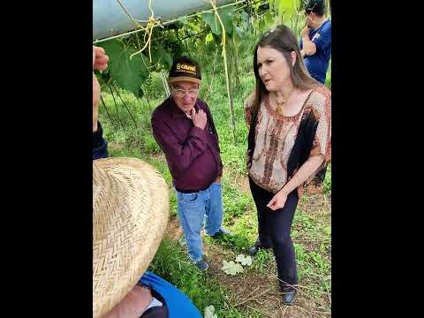 Reunião histórica em Cerro Azul une prefeitos e o IDR-Paraná 🌱