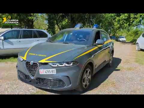 100 cani salvati nell'operazione della guardia di finanza