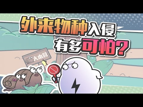 一只蚂蚁都不放过，海关为啥要严查活体动物进口？
