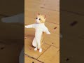 Virudhunagar Viyabari Chellakannu Cat Dance Shorts Reels Trending Cats Viral Ytshorts