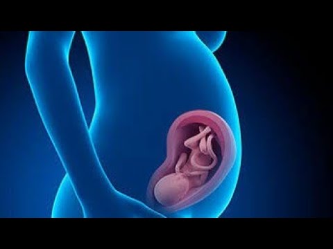 SOM ORIGINAL DO ÚTERO DA MÃE COM AS BATIDAS DO CORAÇÃO