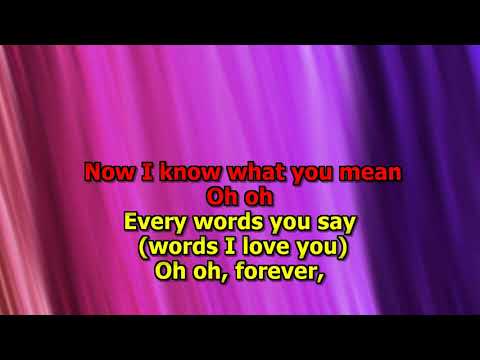 Dave Clark Five   I'll Be Yours My Love Karaoke