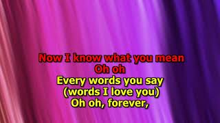 Dave Clark Five   I&#39;ll Be Yours My Love Karaoke