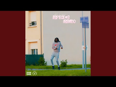 Espèce #3 (Speed Up Remix)